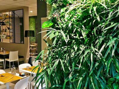 Parete vegetale - pareti verdi interni - Bar Pasticceria Modena