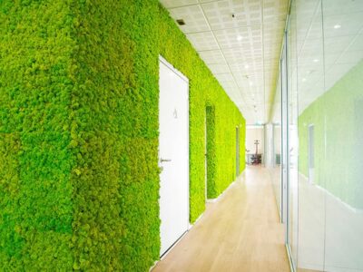 Parete vegetale - pareti verdi interni - MOL Group