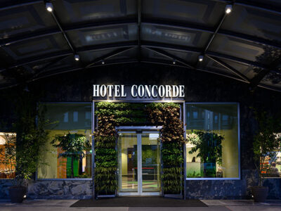 Stabilized Moss Wall - Hotel Concorde